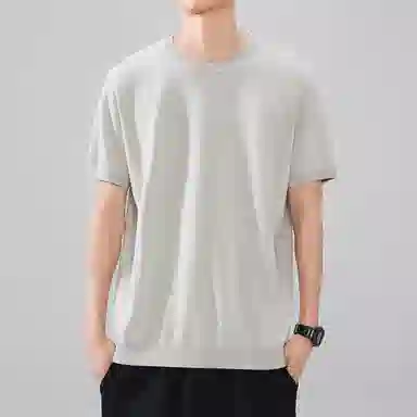 Hansca Polo