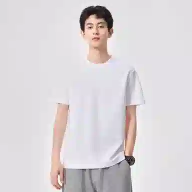 Hansca T