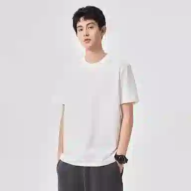 Hansca T