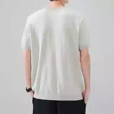Hansca Polo
