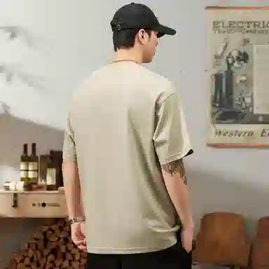 Hansca T