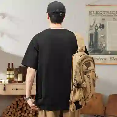 Hansca T