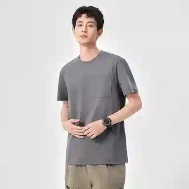 Hansca T