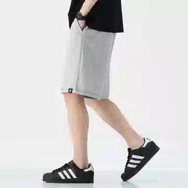 Hansca