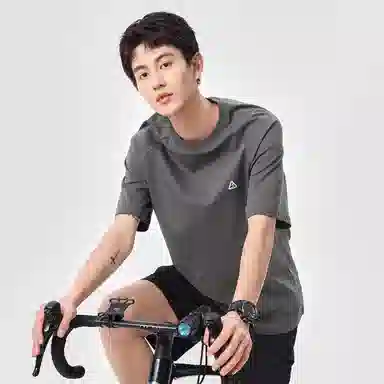 Hansca T