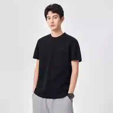 Hansca T