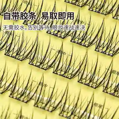 简应舒 免卸自然假睫毛 单簇