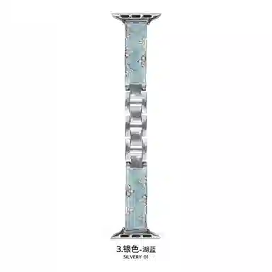 HAIAISO iwatchS1098