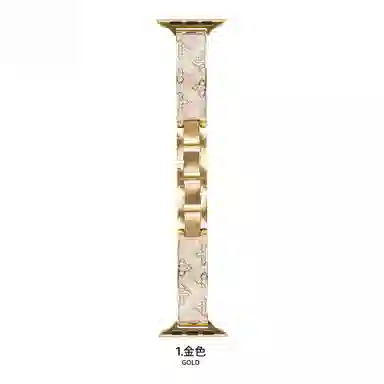 HAIAISO iwatchS1098