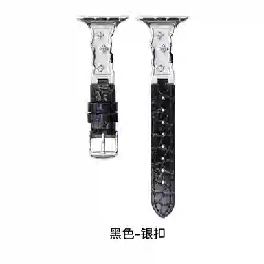 HAIAISO iwatchS1098