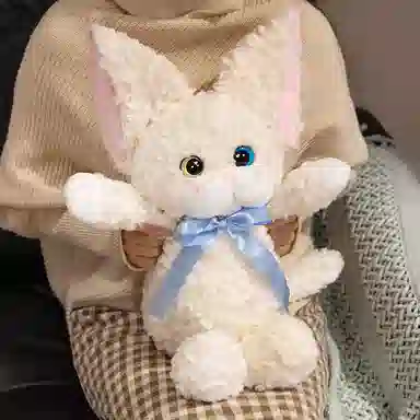 45cm60cm