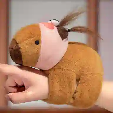 26cm