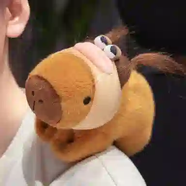 26cm