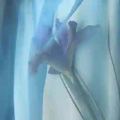 A LIFE ON THE LEFT V