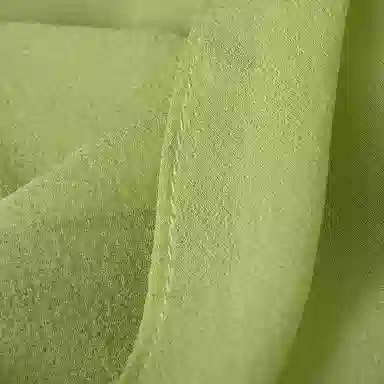 A LIFE ON THE LEFT 100