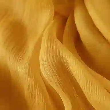 A LIFE ON THE LEFT V