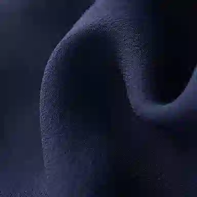 A LIFE ON THE LEFT 100