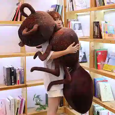 46cm70cm100cm120cm150cm