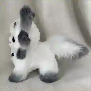 20cm
