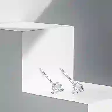 EGX Zircon Stud Earrings
