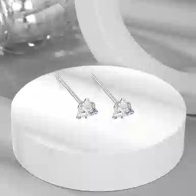 EGX Zircon Stud Earrings