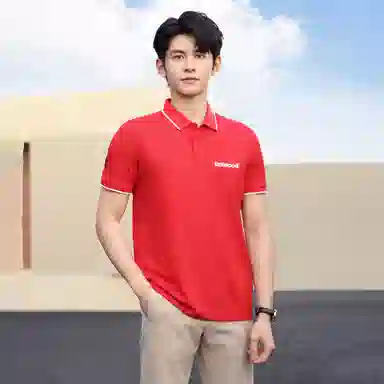 TEXWOOD POLOPolo