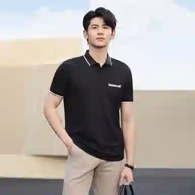TEXWOOD POLOPolo