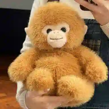 25cm