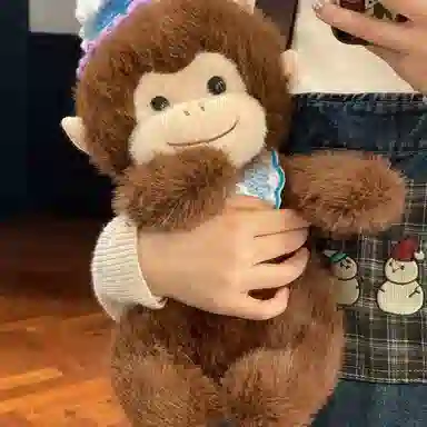 25cm
