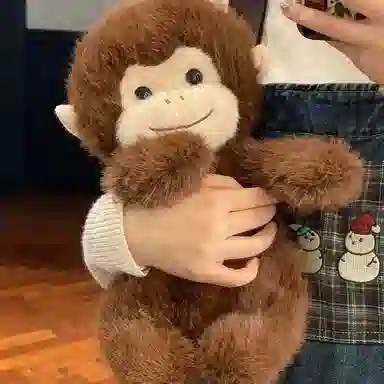 25cm