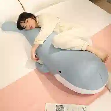 50cm80cm100cm120cm150cm