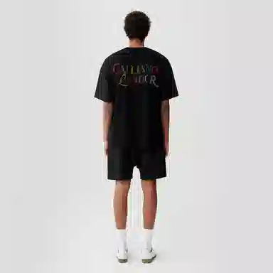 GALLIANO LANDOR logoT