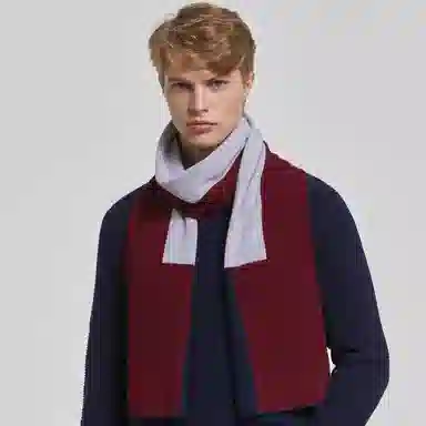 红豆 时尚百搭柔软保暖拼色 羔羊毛 绒线围巾 男款