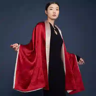 红豆 顺滑亲肤缎面 桑蚕丝 丝巾 女款