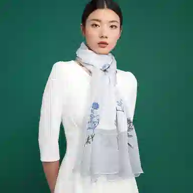 红豆 时尚长巾 百搭经典设计 桑蚕丝 丝巾 女款