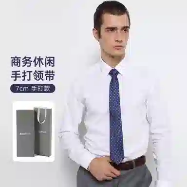 红豆 品牌礼盒款手打款求职面试结婚演讲正装休闲商务 聚酯纤维 领带 男款