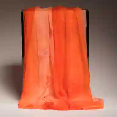 红豆 真丝时尚长巾 轻盈柔软 简约大方 桑蚕丝 丝巾 女款