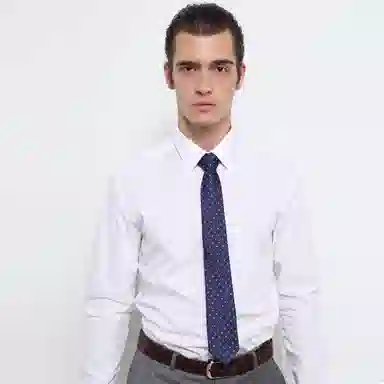 红豆 品牌礼盒款手打款求职面试结婚演讲正装休闲商务 聚酯纤维 领带 男款