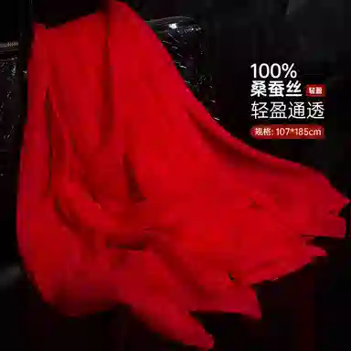 红豆 真丝长巾轻盈柔软围巾经典设计简约时尚大方 桑蚕丝 丝巾 女款
