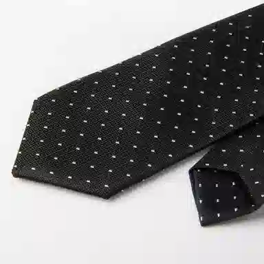 红豆 免打结拉链条纹 涤纶 领带 男款