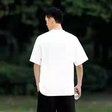 Borderless BDLS 260T