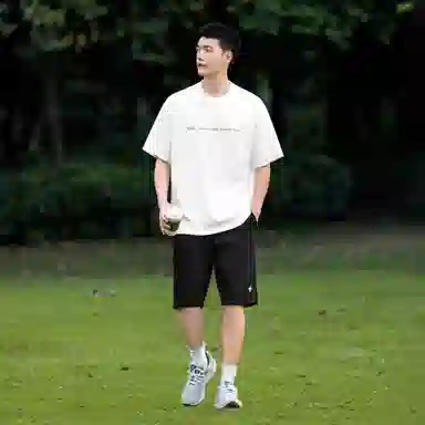 Borderless BDLS 260T