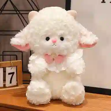 25cm40cm