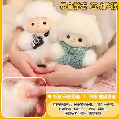 20cm