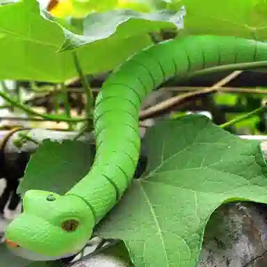 极慧猫 响尾蛇 整蛊玩具