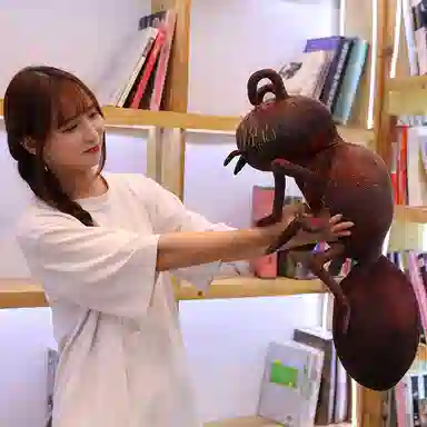 46cm70cm100cm120cm150cm