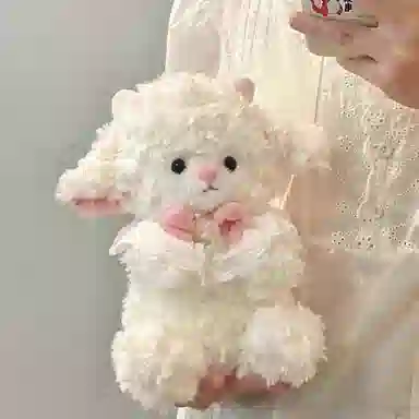 25cm40cm