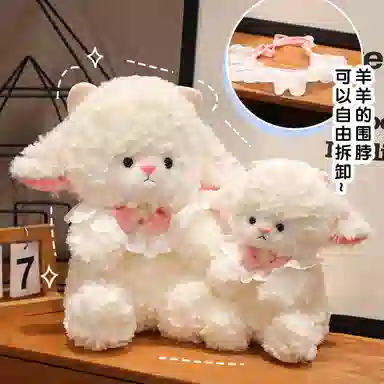 25cm40cm