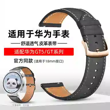 GT5GT4Pro41GT 42mm 220mm