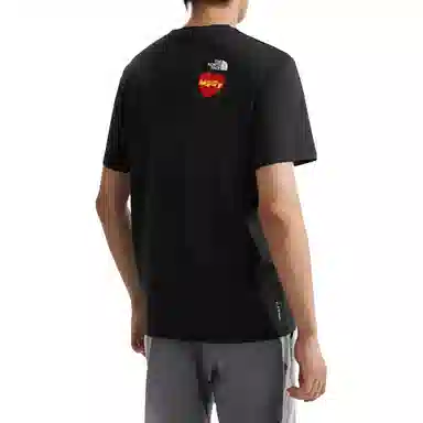 THE NORTH FACE T